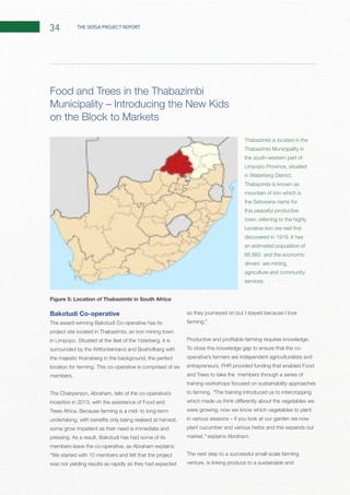 34 THE SERSA PROJECT REPORT
Bakotudi Co-operative
The award-winning Bakotudi Co-operative has its
project site located in Thabazimbi, an iron mining town
surrounded by the Witfonteinrand and Boshofberg with
The Chairperson, Abraham, tells of the co-operative’s
inception in 2013, with the assistance of Food and
some grow impatient as their need is immediate and
members leave the co-operative, as Abraham explains:
was not yielding results as rapidly as they had expected
so they journeyed on but I stayed because I love
To close this knowledge gap to ensure that the co-
operative’s farmers are independent agriculturalists and
entrepreneurs, FHR provided funding that enabled Food
and Trees to take the members through a series of
training workshops focused on sustainability approaches
“The training introduced us to intercropping
were growing; now we know which vegetables to plant
plant cucumber and various herbs and this expands our
market,”
The next step to a successful small-scale farming
venture, is linking produce to a sustainable and
Food and Trees in the Thabazimbi
Thabazimbi is located in the
the south-western part of
Limpopo Province, situated
Thabazimbi is known as
mountain of iron which is
the Setswana name for
this peaceful productive
town, referring to the highly
an estimated population of
66 883 and the economic
drivers are mining,
agriculture and community
Figure 5: Location of Thabazimbi in South Africa
 