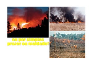 ou por simples  prazer ou maldade! 