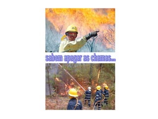 sabem apagar as chamas... 
