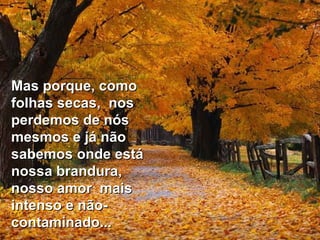 Mas porque, como folhas secas,  nos perdemos de nós mesmos e já não sabemos onde está nossa brandura, nosso amor  mais intenso e não-contaminado... 