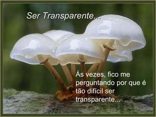 Ás vezes, fico me perguntando por que é tão difícil ser transparente... Ser Transparente... 