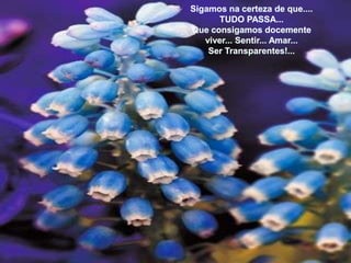 Sigamosnacerteza de que.... TUDO PASSA...Queconsigamosdocementeviver... Sentir... Amar...SerTransparentes!...