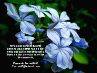 Uma coisaaprendidurantea minhavida, sofrernao e a piorcoisaqueexiste. DesobedeceraDeus e a pior de todas as coisas.Sinceramente,Fernanda Torres/2010fftorres65@hotmail.com