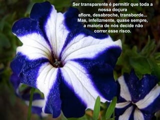 Sertransparente é permitirquetoda a nossadoçuraaflore, desabroche, transborde...Mas, infelizmente, quasesempre, a maioria de nósdecide nãocorreresserisco.