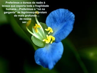 Preferimos a dureza da razão à levezaqueexporiatoda a fragilidadehumana....Preferimoso “nónagarganta” àslágrimasquebrotamdo maisprofundode nossoser... 