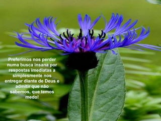 Preferimosnosperdernumabuscainsanaporrespostasimediatas a simplesmentenosentregardiante de Deus e admitirquenãosabemos, quetemosmedo!