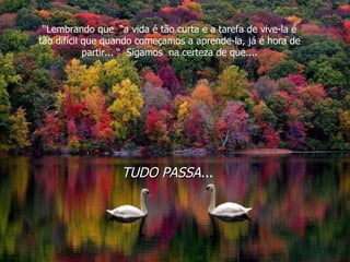 “ Lembrando que  “a vida é tão curta e a tarefa de vive-la é tão difícil que quando começamos a aprende-la, já é hora de partir... “  Sigamos  na certeza de que.... TUDO PASSA ...   