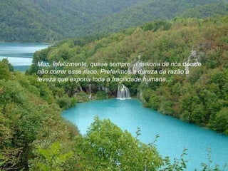 Mas, infelizmente, quase sempre, a maioria de nós decide não correr esse risco. Preferimos a dureza da razão à  leveza que exporia toda a fragilidade humana....   