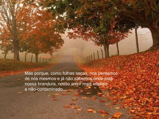 Mas porque, como folhas secas, nos perdemos  de nós mesmos e já não sabemos onde está nossa brandura, nosso amor mais intenso  e não-contaminado... 