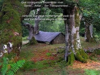 Que consigamos docemente viver...  Sentir... Amar...  Ser Transparentes!... … certo de que esse momento que você vive, seja ele de muita alegria ou de dor…  