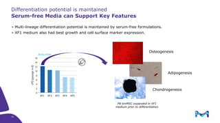 Serum-free Media for Therapeutic Cell Manufacturing – Challenges and ...