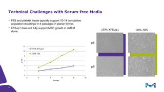 Serum-free Media for Therapeutic Cell Manufacturing – Challenges and ...