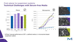 Serum-free Media for Therapeutic Cell Manufacturing – Challenges and ...