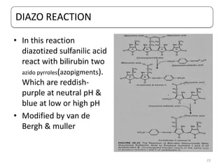 DIAZO REACTION
• In this reaction
diazotized sulfanilic acid
react with bilirubin two
azido pyrroles(azopigments).
Which are reddish-
purple at neutral pH &
blue at low or high pH
• Modified by van de
Bergh & muller
23
 