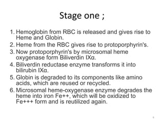 Stage one ;
1. Hemoglobin from RBC is released and gives rise to
Heme and Globin.
2. Heme from the RBC gives rise to protoporphyrin's.
3. Now protoporphyrin's by microsomal heme
oxygenase form Biliverdin IXα.
4. Biliverdin reductase enzyme transforms it into
bilirubin IXα.
5. Globin is degraded to its components like amino
acids, which are reused or recycled.
6. Microsomal heme-oxygenase enzyme degrades the
heme into iron Fe++, which will be oxidized to
Fe+++ form and is reutilized again.
6
 