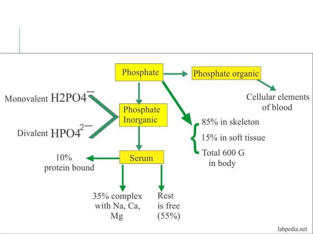 Phosphate Rheogram serumphosphate- mbbd ppt211101181641.pptx