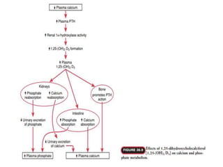 Phosphate Rheogram Serum phosphate | PPTX