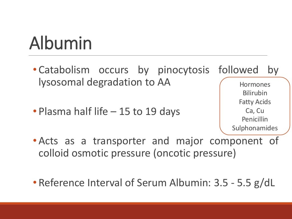 Serum Protein and AlbuminGlobulin Ratio