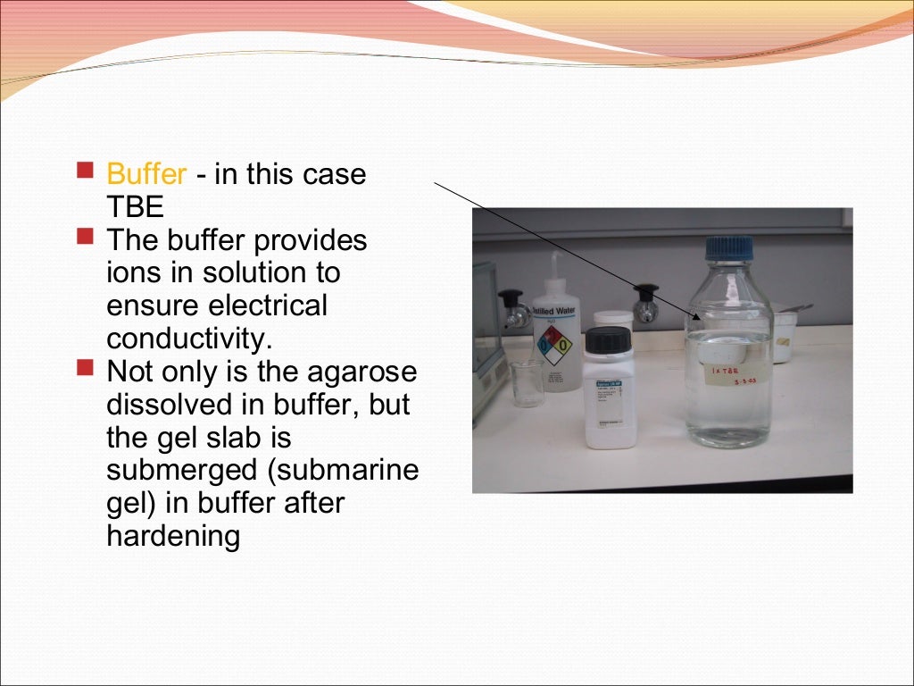 Serum protein electrophoresis & their clinical importance