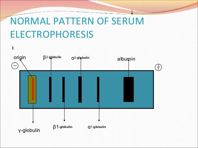 serum electrophoresis