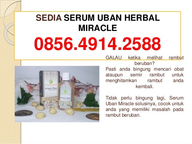 085649142588 Sedia Obat  Uban Untuk Rambut  Putih Yang  