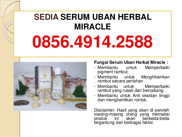 085649142588, Sedia Obat Uban Alami Dan Halal, Siap Kirim 