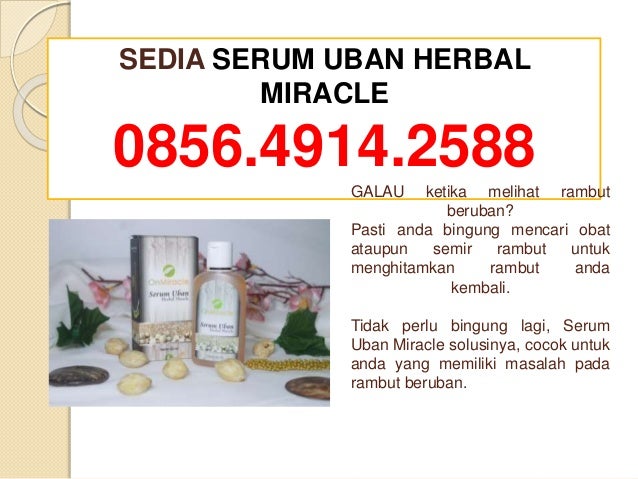 085649142588 Sedia Obat Uban Penghitam Rambut Herbal Dan 085649142588 Sedia Obat Uban Penghitam Rambut Herbal Dan