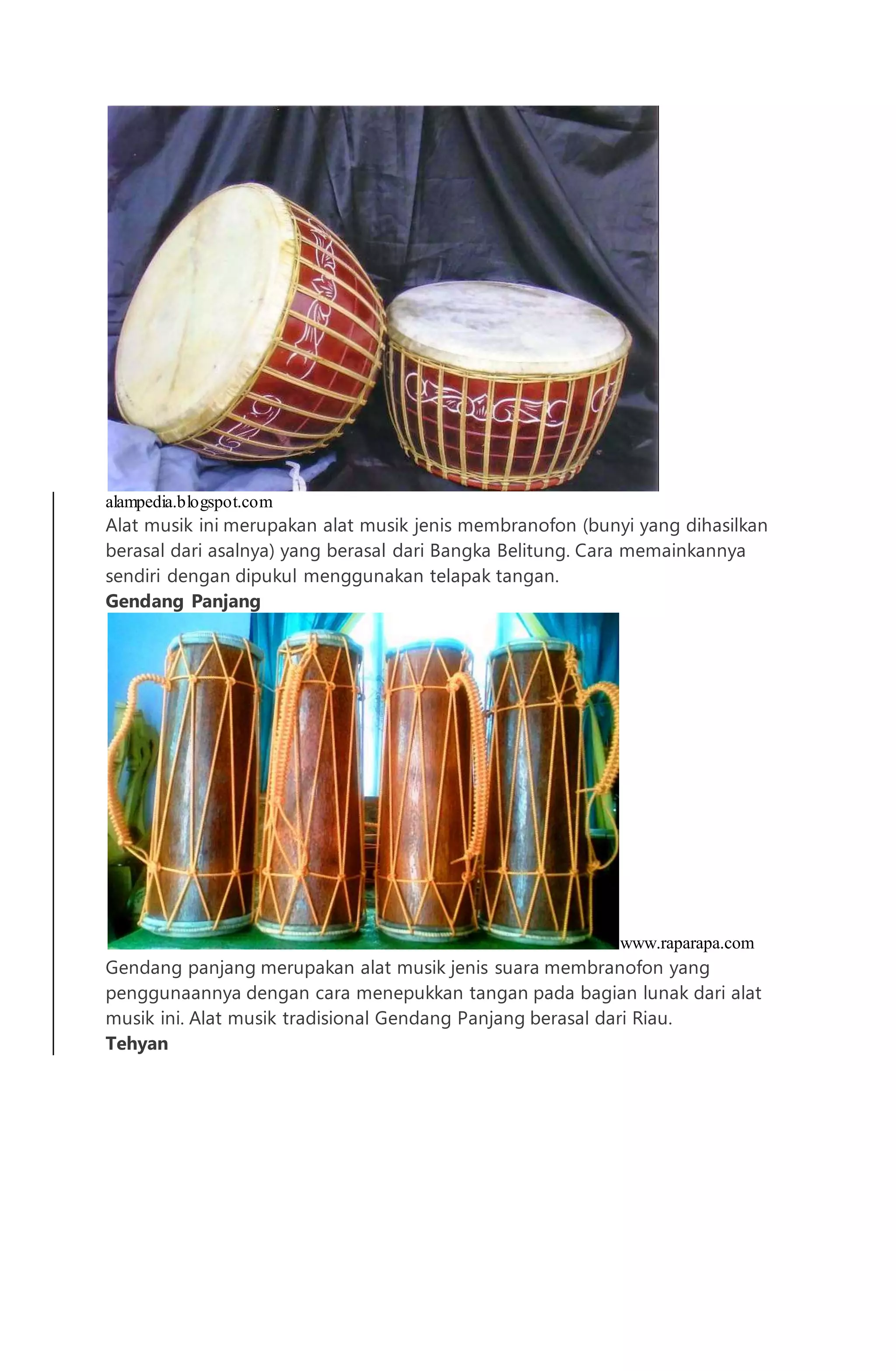 alampedia.blogspot.com
Alat musik ini merupakan alat musik jenis membranofon (bunyi yang dihasilkan
berasal dari asalnya) yang berasal dari Bangka Belitung. Cara memainkannya
sendiri dengan dipukul menggunakan telapak tangan.
Gendang Panjang
www.raparapa.com
Gendang panjang merupakan alat musik jenis suara membranofon yang
penggunaannya dengan cara menepukkan tangan pada bagian lunak dari alat
musik ini. Alat musik tradisional Gendang Panjang berasal dari Riau.
Tehyan
 