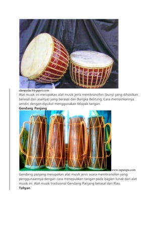 alampedia.blogspot.com
Alat musik ini merupakan alat musik jenis membranofon (bunyi yang dihasilkan
berasal dari asalnya) yang berasal dari Bangka Belitung. Cara memainkannya
sendiri dengan dipukul menggunakan telapak tangan.
Gendang Panjang
www.raparapa.com
Gendang panjang merupakan alat musik jenis suara membranofon yang
penggunaannya dengan cara menepukkan tangan pada bagian lunak dari alat
musik ini. Alat musik tradisional Gendang Panjang berasal dari Riau.
Tehyan
 
