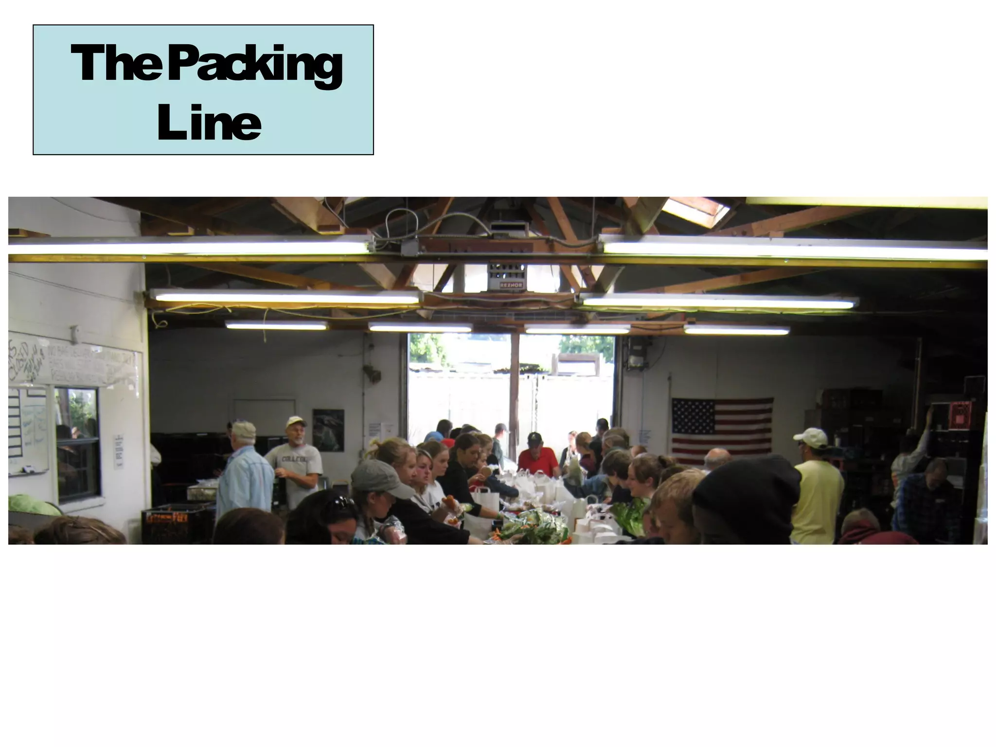 ThePacking
   Line
 