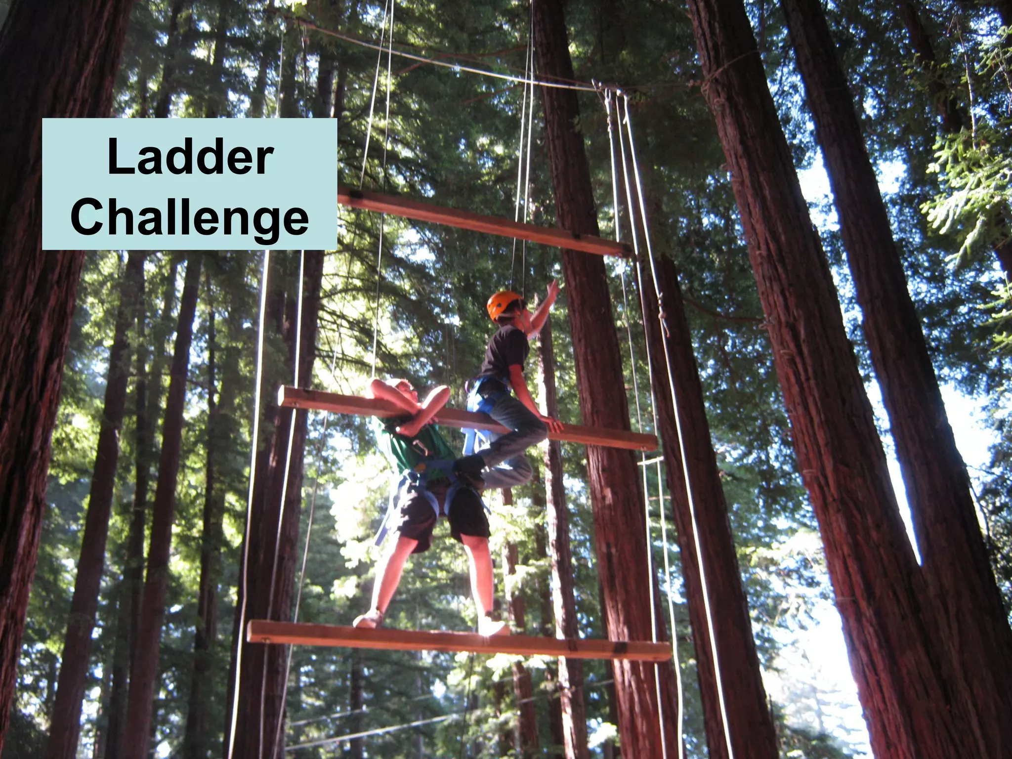 Ladder
Challenge
 