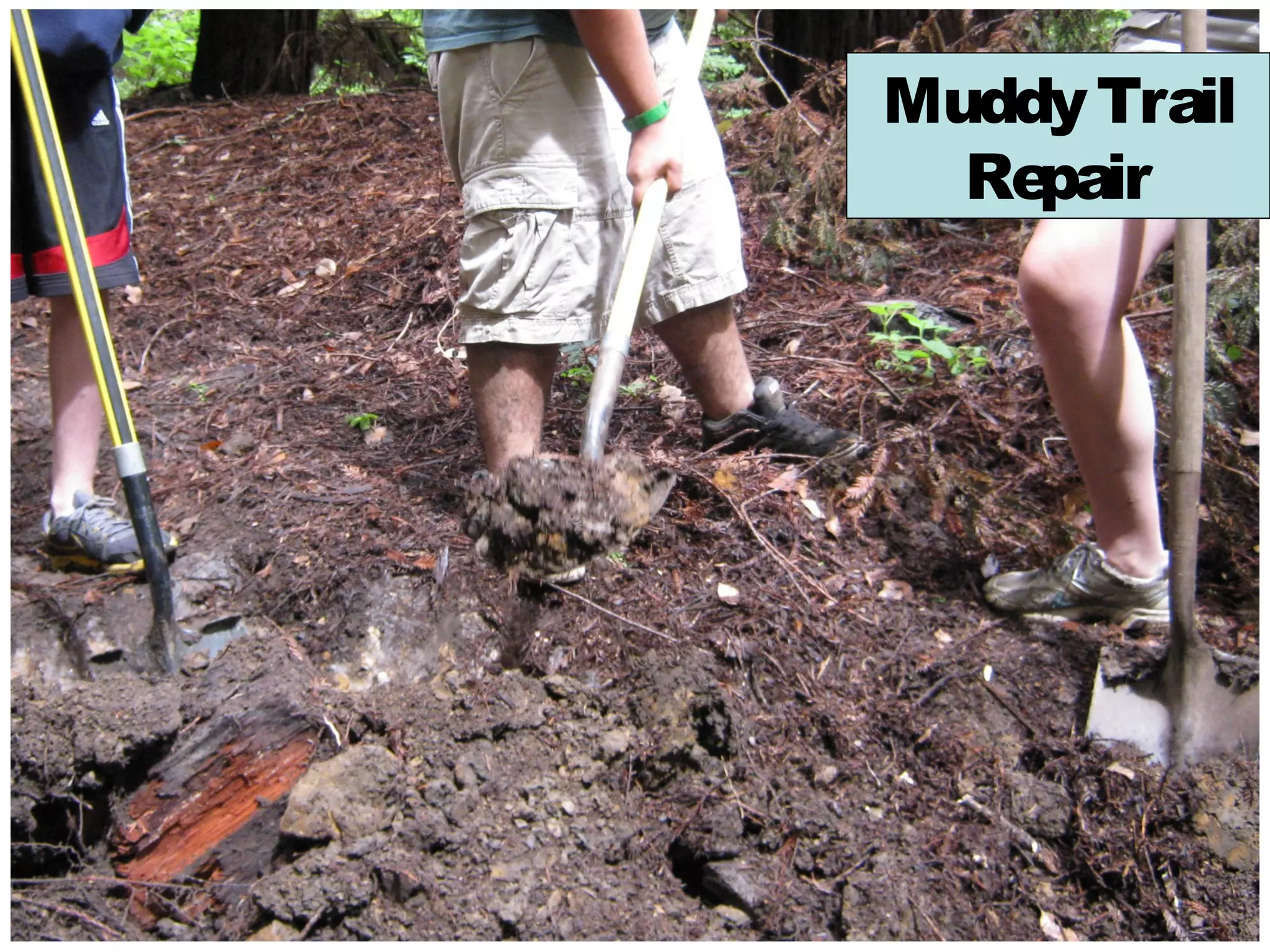Muddy Trail
  Repair
 