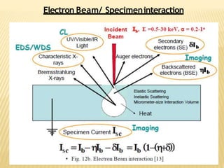Electron Beam/ Specimeninteraction
 