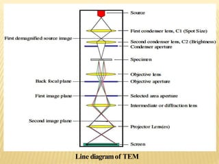 Line diagramof TEM
 