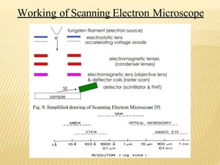 Working of Scanning Electron Microscope
 