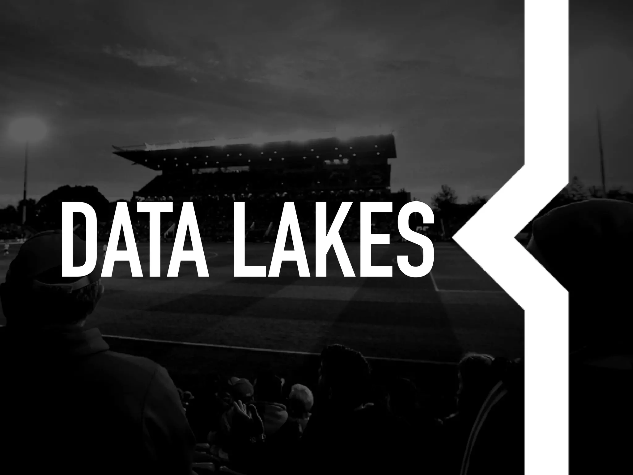 DATA LAKES
 