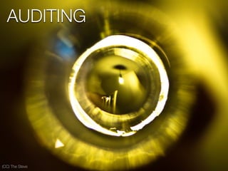AUDITING
(CC) The Steve
 