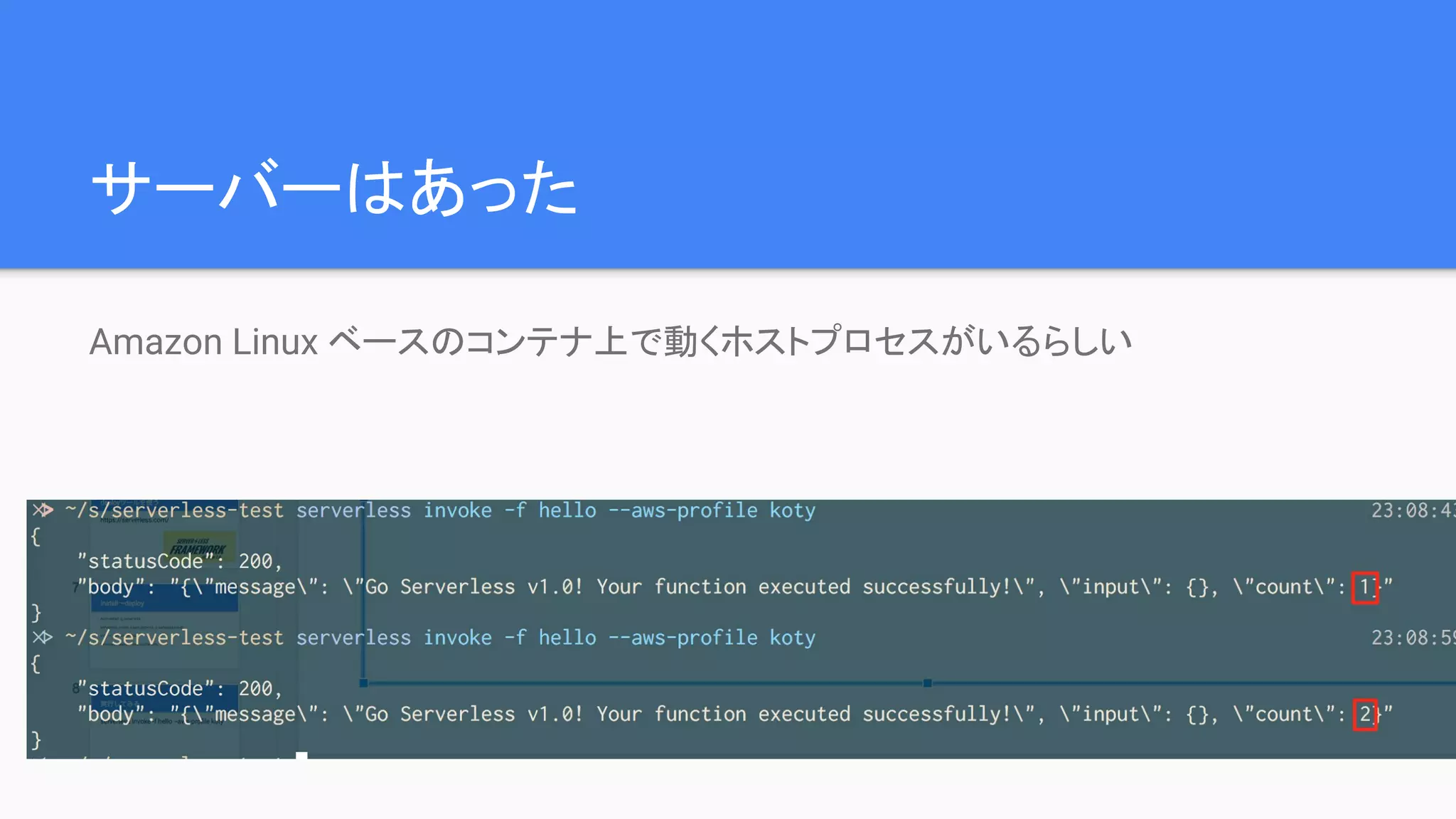 サーバーはあった
Amazon Linux ベースのコンテナ上で動くホストプロセスがいるらしい
 