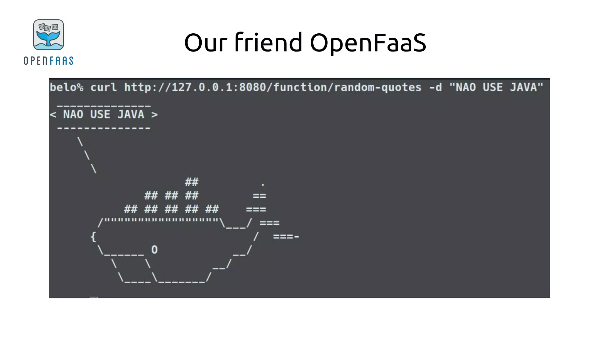 Our friend OpenFaaS
 