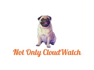 Not Only CloudWatch
 