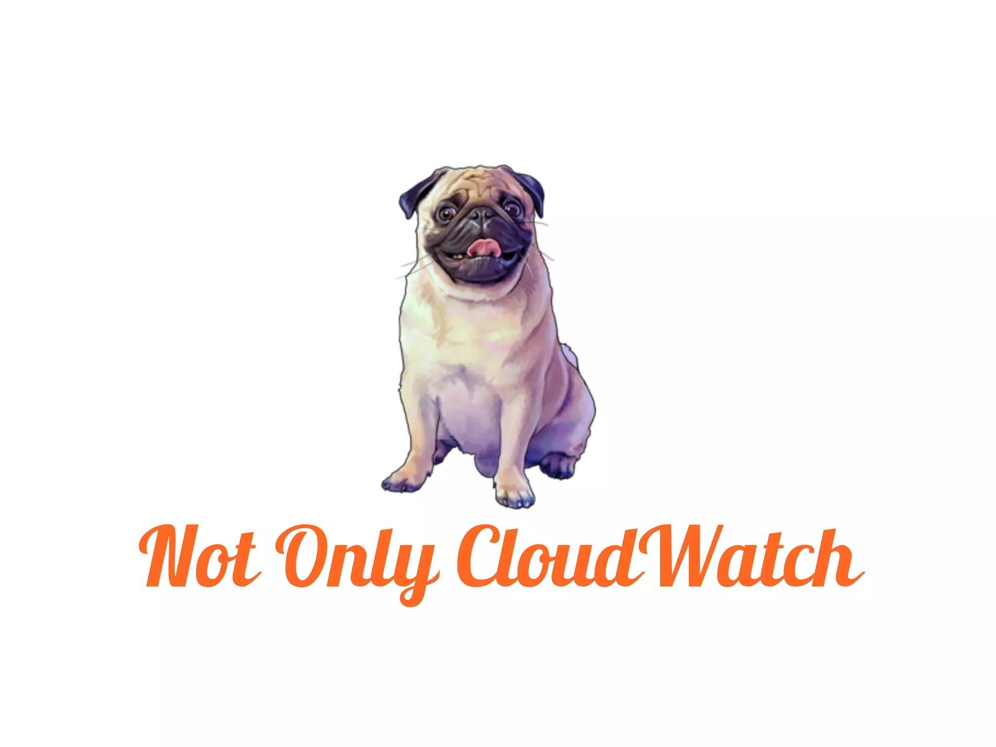 Not Only CloudWatch
 