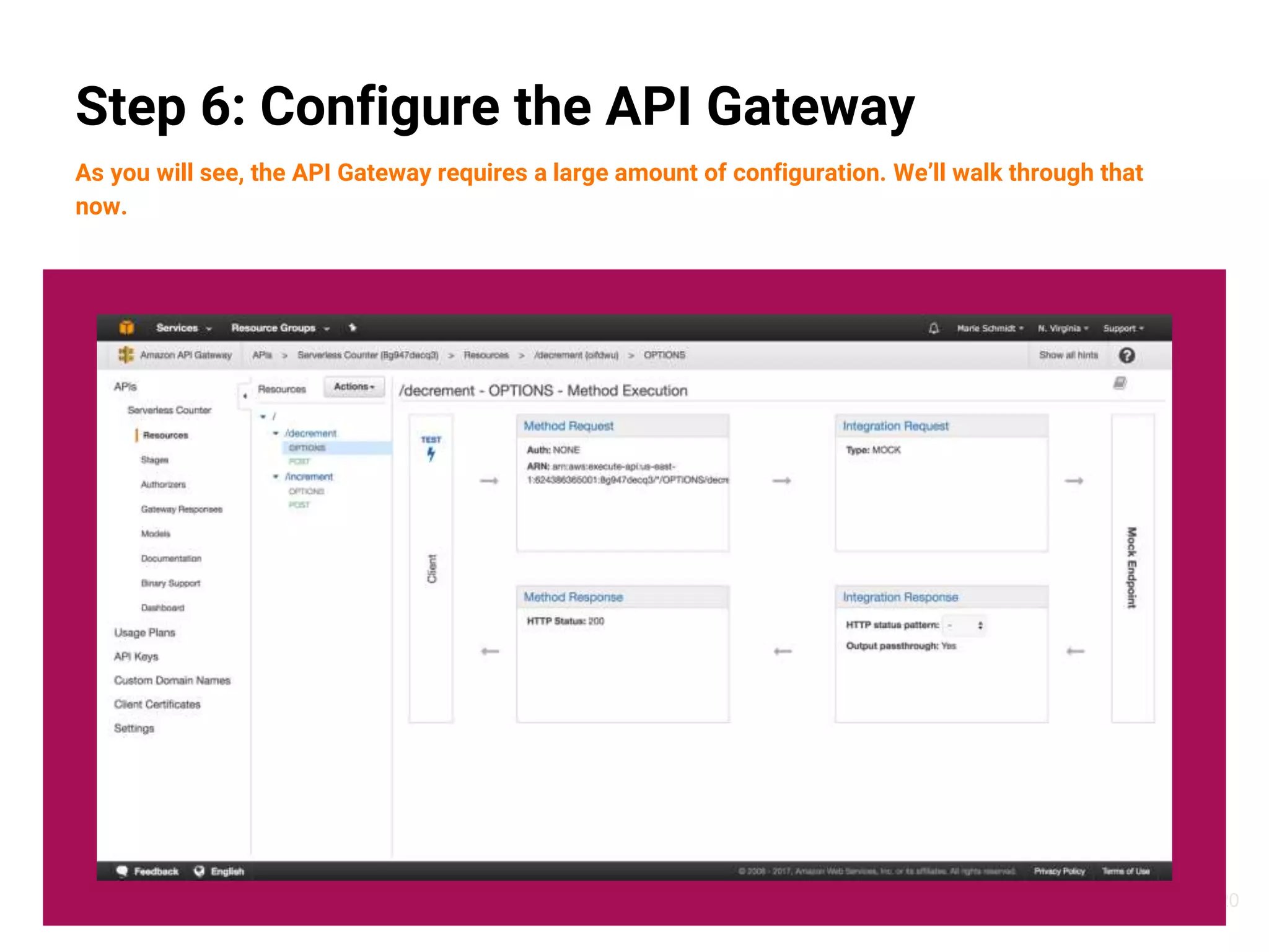 20
Step 6: Configure the API Gateway
As you will see, the API Gateway requires a large amount of configuration. We’ll walk through that
now.
 
