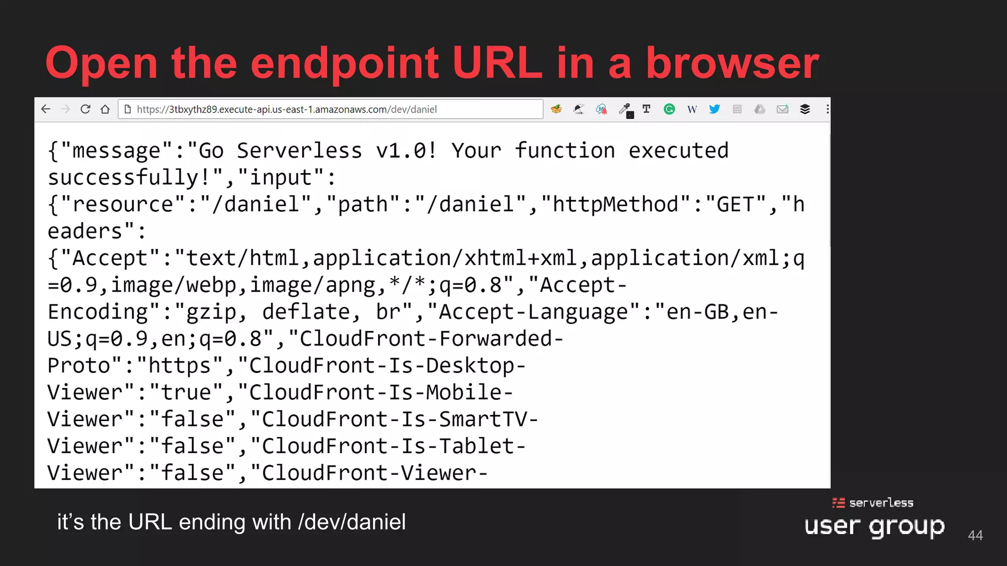 it’s the URL ending with /dev/daniel
Open the endpoint URL in a browser
44
 