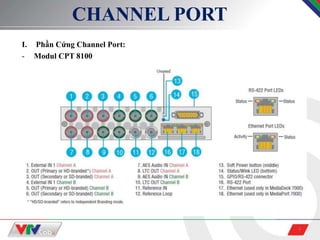 4
CHANNEL PORT
I. Phần Cứng Channel Port:
- Modul CPT 8100
 