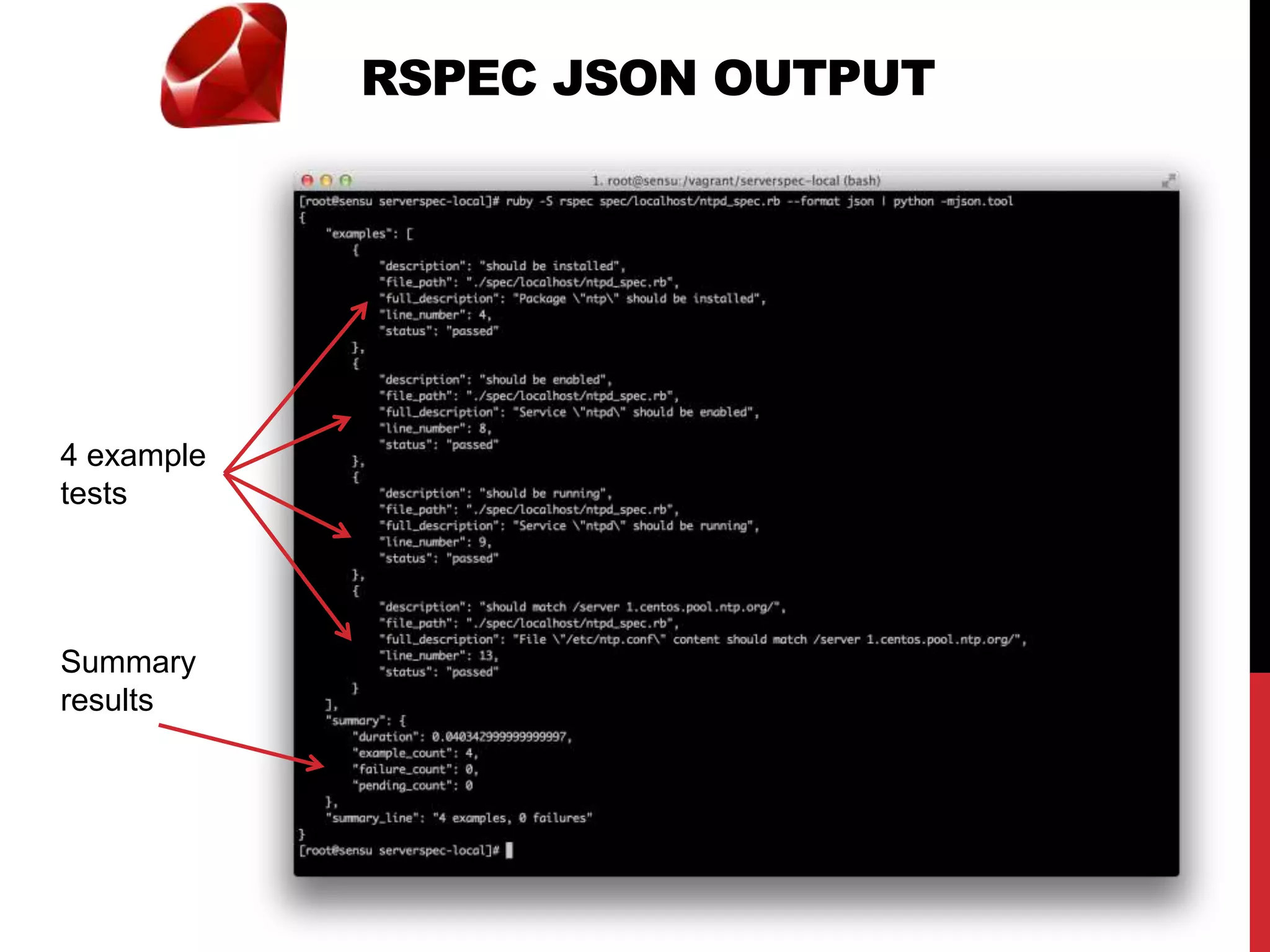 RSPEC JSON OUTPUT
4 example
tests
Summary
results