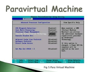 A Look to VMwareFig 4: Virtual Machine Modlel