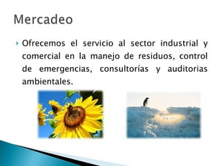 Ofrecemos el servicio al sector industrial y comercial en la  manejo de residuos, control de emergencias, consultorías y auditorias ambientales. 