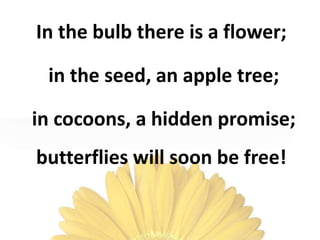 In the bulb there is a flower;
in the seed, an apple tree;
in cocoons, a hidden promise;
butterflies will soon be free!
 