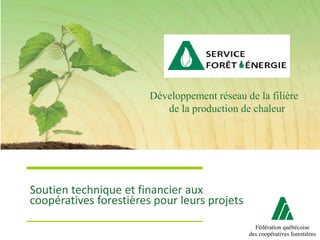 Soutien technique et financier aux
coopératives forestières pour leurs projets
Développement réseau de la filière
de la production de chaleur
 