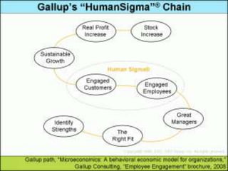 Prepared by Steve Raybould   24
 